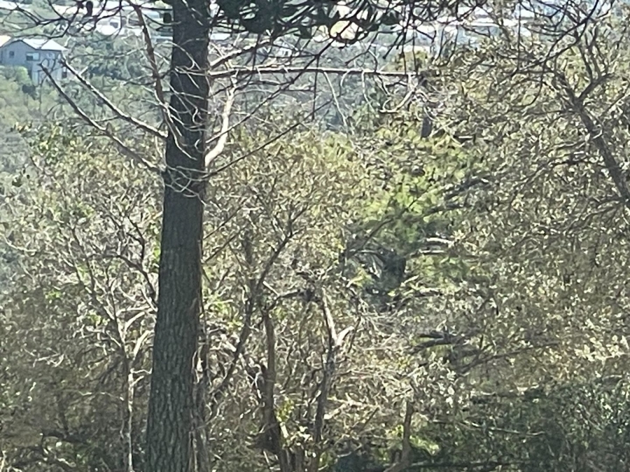 Commercial Property for Sale in Brakkloof Ah Western Cape